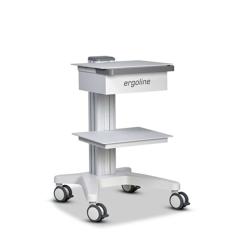 ergocar flex