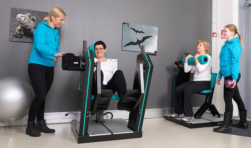 Fysiogeriatria — geriatrische kognitive Rehabilitation
