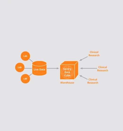Schema: Live-Daten mehrerer Labore fließen in den SentryDataCube für die klinische Forschung